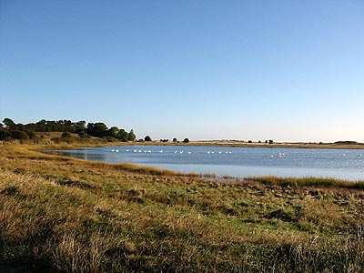 Lillehavet - kig mod øst over den nordlige del med  Knopsvaner. Oktober 2003  (MWH)